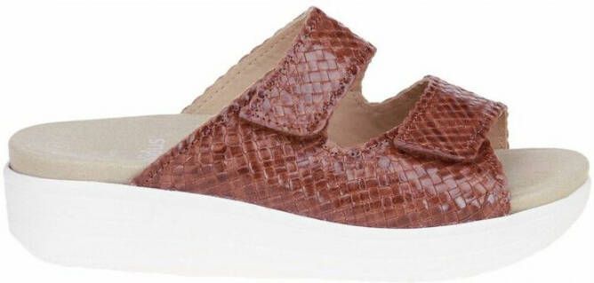 Solidus Slippers Bruin Dames