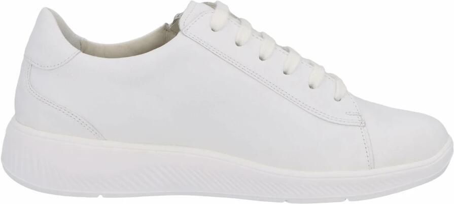 Solidus Sneakers - Foto 2