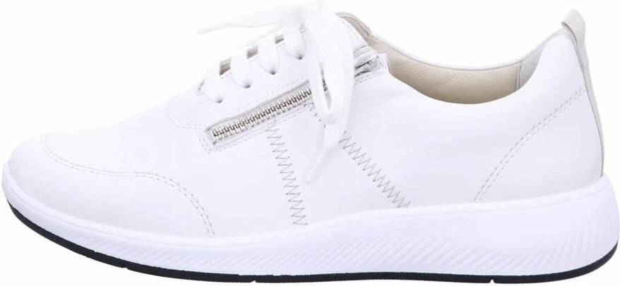 Solidus 65016 Sneakers