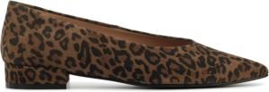 Stefano Lauran Dames Pumps Damesschoenen Suède Leopardprint Blokhak hoogte 2 cm S3072 Bruin