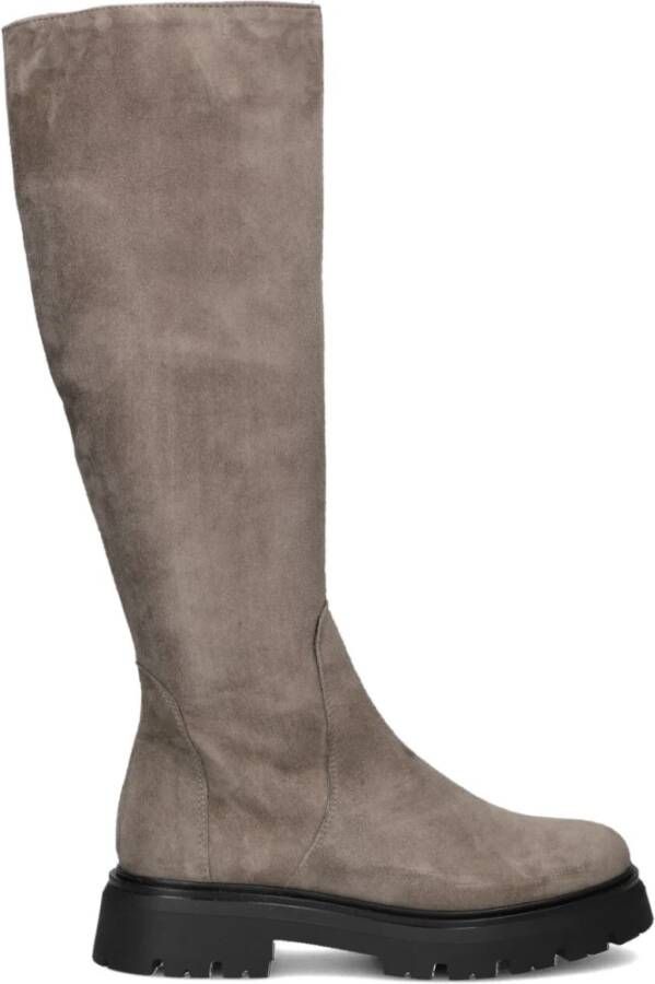 Stefano Lauran Taupe Suède Hoge Laarzen Beige Dames