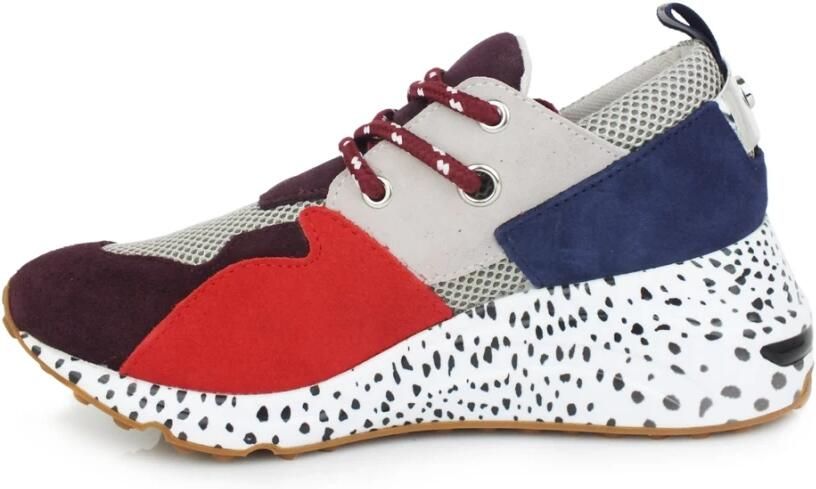 Steve Madden Bordeaux Multicolor Cliff Damesschoenen - Foto 2