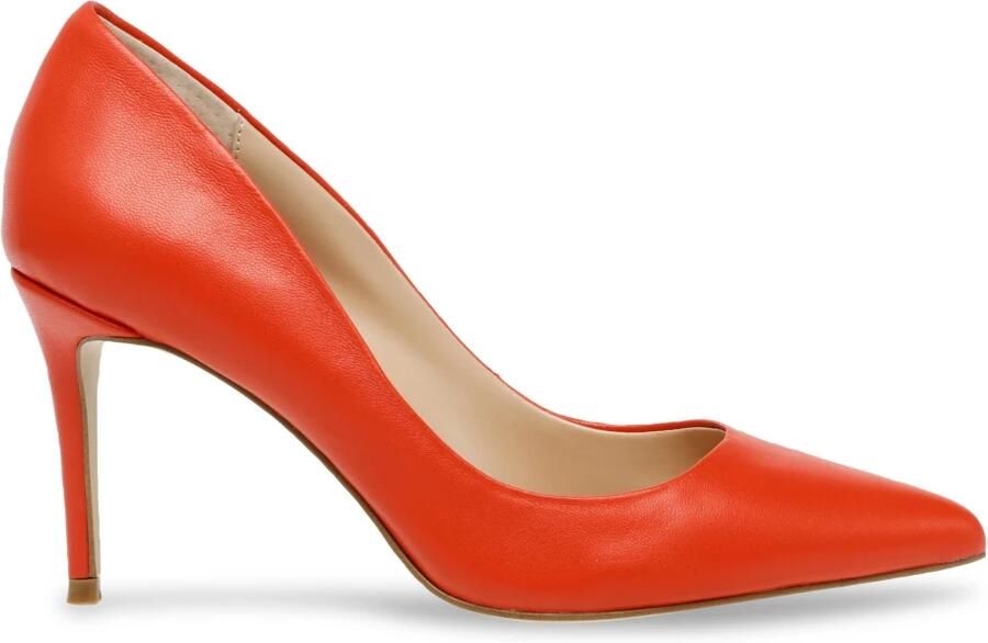 Steve Madden Clillie Pomp