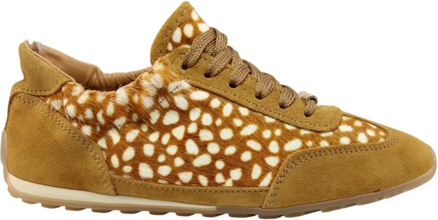 Steve Madden Conner