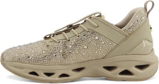 Steve Madden Sneakers