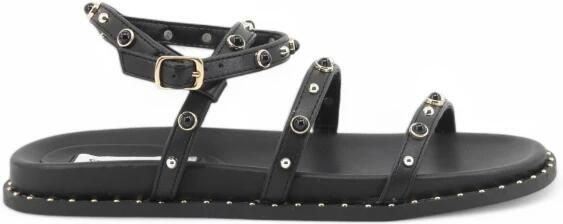 Steve Madden Stormie Sandal