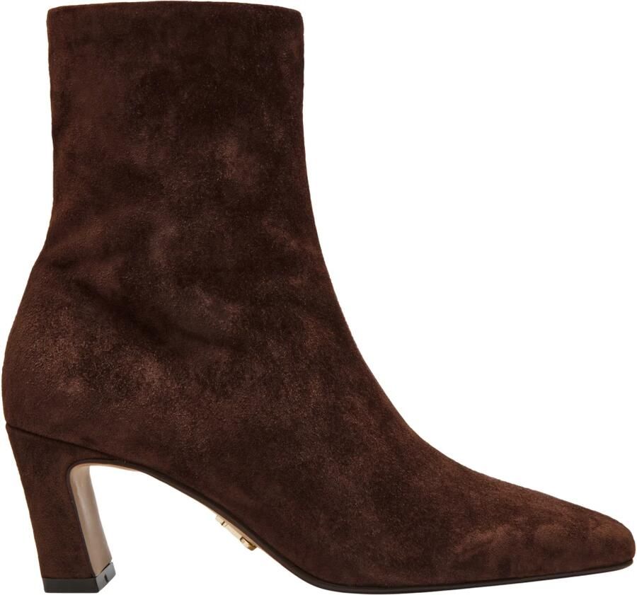 Steve Madden Willah Enkelboot