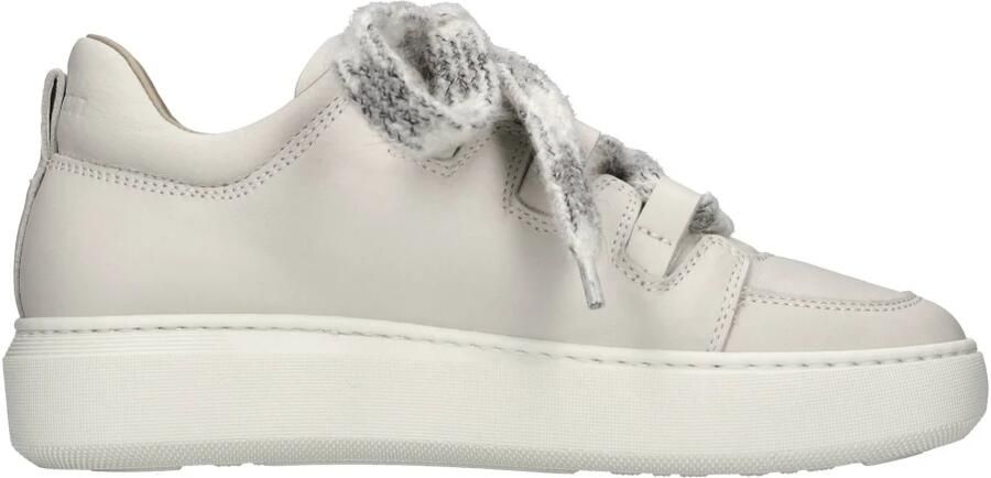 Stokton Sneakers Beige