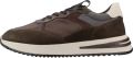 STONEFLY Galax 1 Tex Sue - Bruin