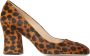 Stuart Weitzman Curveblock 85 Pumps Bruin Dames - Thumbnail 1