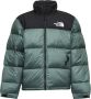 The North Face Groene donsjas met Vislon rits - Thumbnail 1