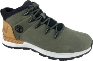 Timberland Schoenen Groen Heren