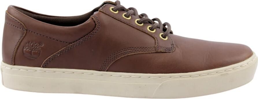 Timberland Dy vitello tmoro sneakers Bruin Heren