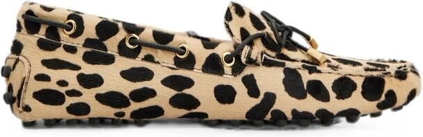 Tod's Loafers