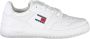 TOMMY JEANS Plateausneakers TJW RETRO BASKET ESS vrijetijdsschoen lage schoen veterschoen met zijlogo-vlag - Thumbnail 3
