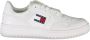 TOMMY JEANS Plateausneakers TJW RETRO BASKET ESS vrijetijdsschoen lage schoen veterschoen met zijlogo-vlag - Thumbnail 3
