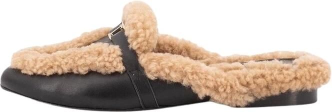 Toral Daphne Mule