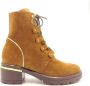 Tosca Blu Ankle Boots Brown Dames - Thumbnail 2