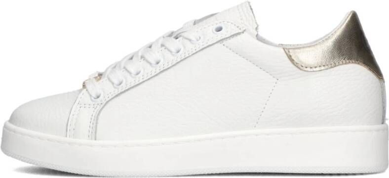 Twinset Witte Gouden Sneakers Stijlvolle Moderne Look White Dames