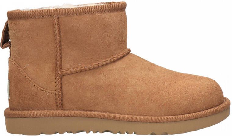 Ugg Boots Bruin Heren