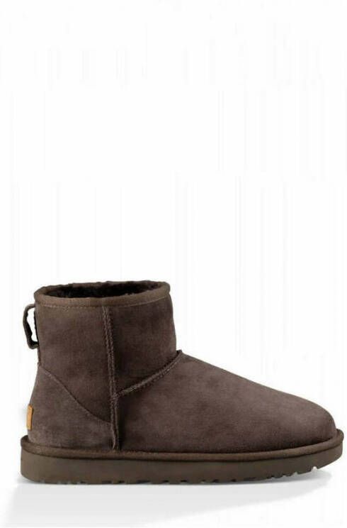 Ugg Shoes Bruin Dames