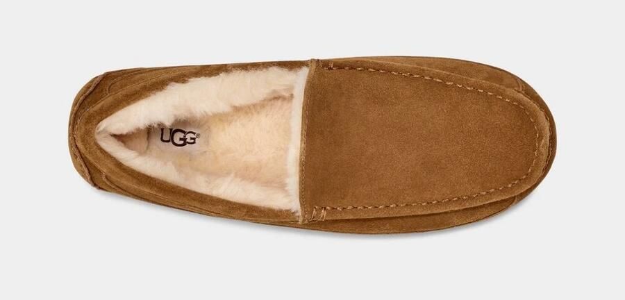 Ugg Shearling Gevoerde Loafers Kastanje Suède Brown Heren - Foto 10