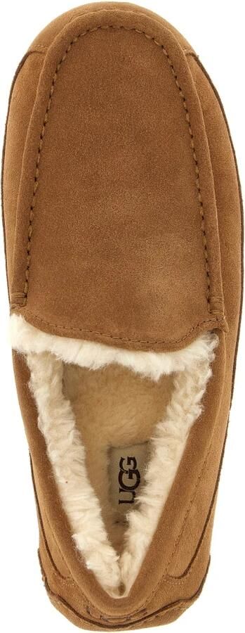 UGG Pantoffels Heren Ascot Maat: 49 5 Materiaal: Suède Kleur: Cognac - Foto 6