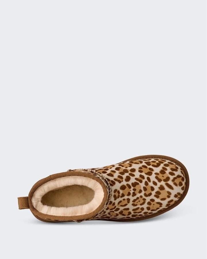 Ugg Classic Ultra Mini Plains Boot Dames Bruin- Dames Bruin - Foto 4