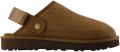 UGG Goldencoast Clog II Nubuck - Bruin