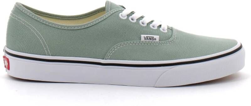 Vans Kleurtheorie Authentieke IJsberg Schoenen Green