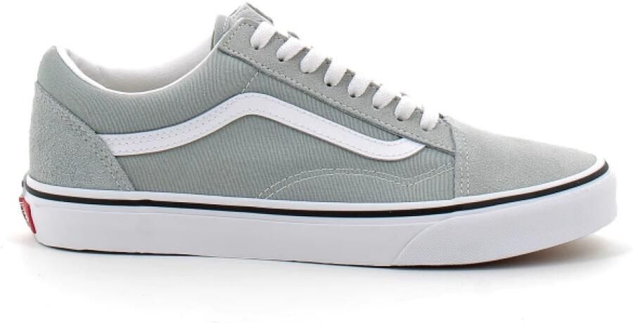 Vans Grijze Old Skool Lage Veterschoenen