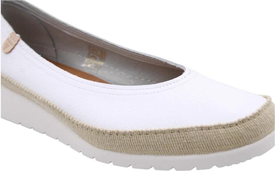 Verbenas Dusty Ballerina - Foto 2