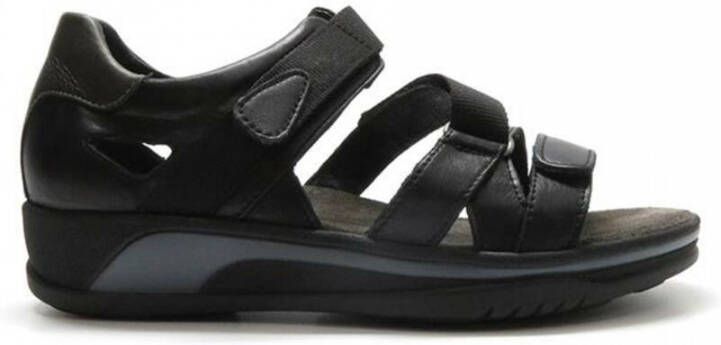 Wolky Sandals Zwart Dames