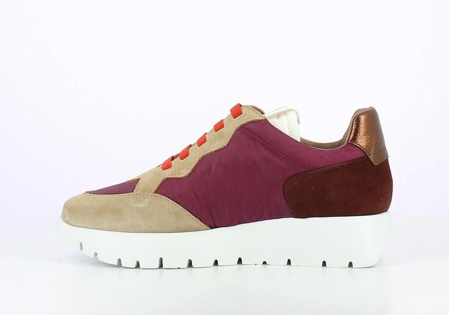 Wonders Deportivas Odisei Beige Beige Multicolor Dames - Foto 3