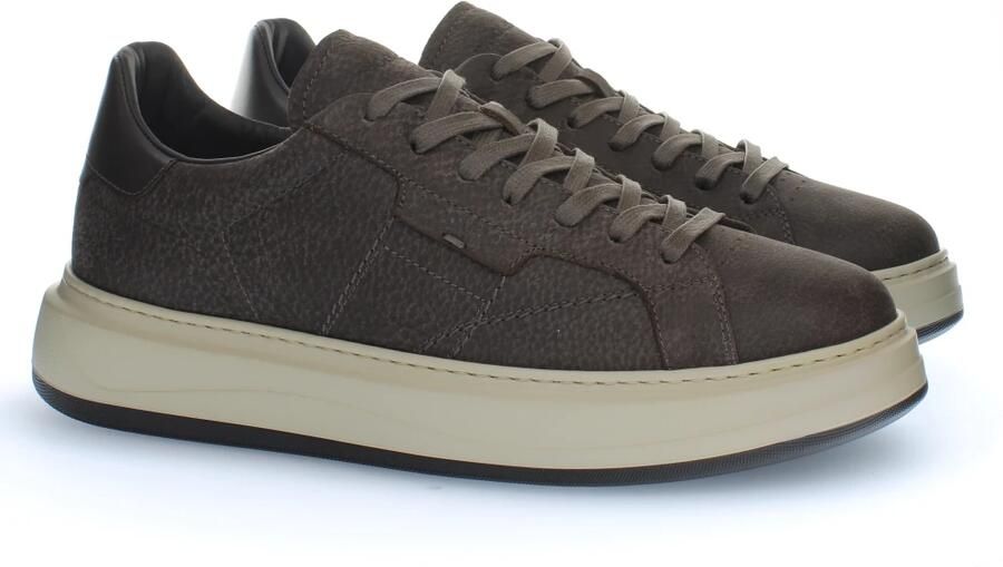 Woolrich Arrow Sneakers