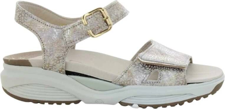 Xsensible Dames Schoenen Goud Skala Gray Dames