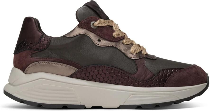 XSENSIBLE Lage Sneakers Dames Rainbow Suède Bruin - Foto 4