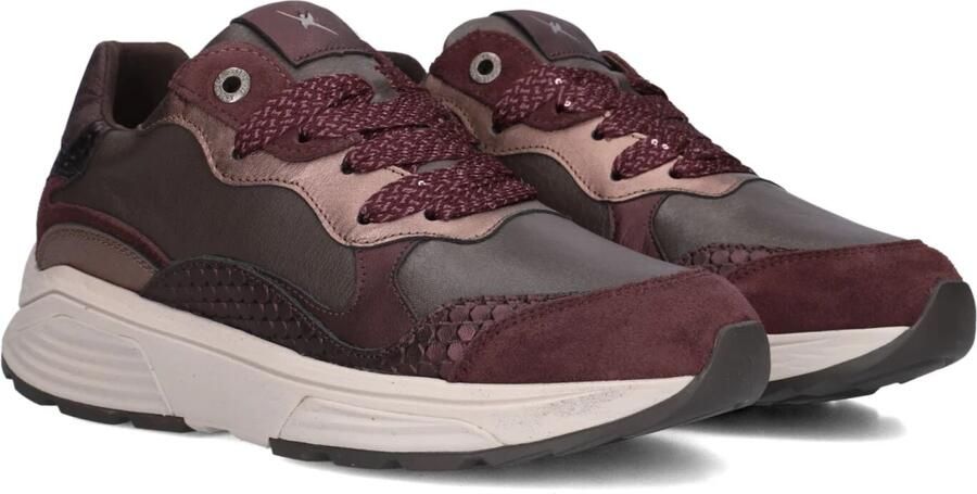 XSENSIBLE Lage Sneakers Dames Rainbow Suède Bruin - Foto 5