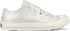 Converse All Stars Chuck Taylor 571135C Zilver