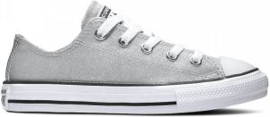 Converse All Stars Chuck Taylor 666896C Zilver Diamant