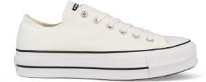 Converse All Stars Lift Platform 560251C Wit
