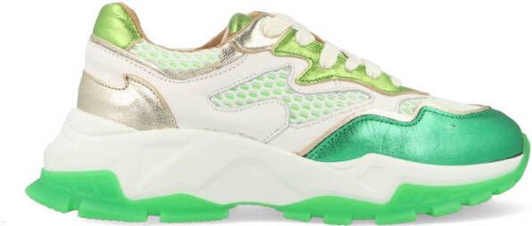 DWRS Chester B10649-08-1361 Wit Groen
