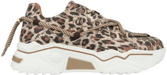 Dwrs Jupiter Leopard Glimmer J5554C-91-8411 Beige