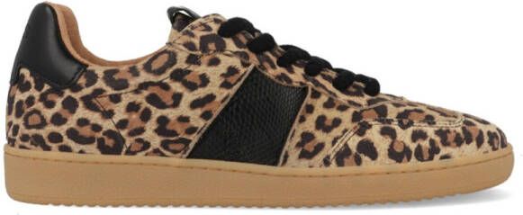 Dwrs Poona Leopard B11456-09 Bruin Zwart