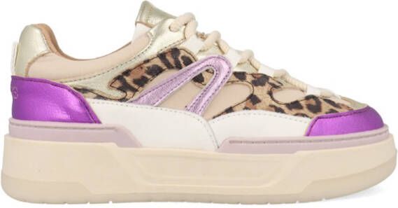 DWRS Walton Leopard B11387-01-8361 Paars