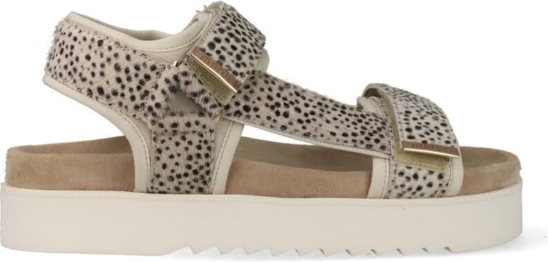 Maruti Beau 66.1653.04-ZJ2 Zilver