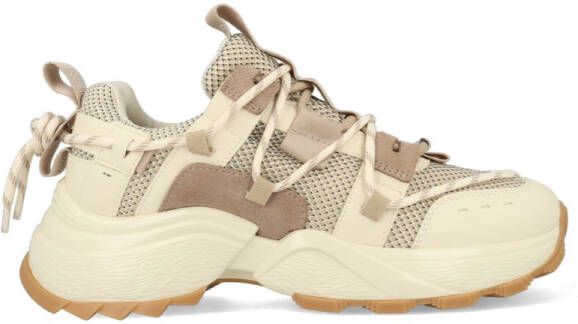 Steve Madden Tazmania SM11002419-04005-TBE Bruin Wit