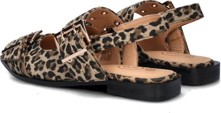 Nelson ballerinas & instappers