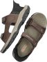 Skechers Slip-ins: Tresmen Reece Sandalen Donkerbruin - Thumbnail 11