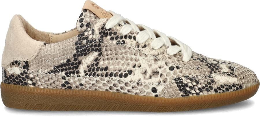 FRED DE LA BRETONIERE Lage Sneakers Dames Pearl Sign Maat: 42 Materiaal: Leer Kleur: Beige - Foto 2